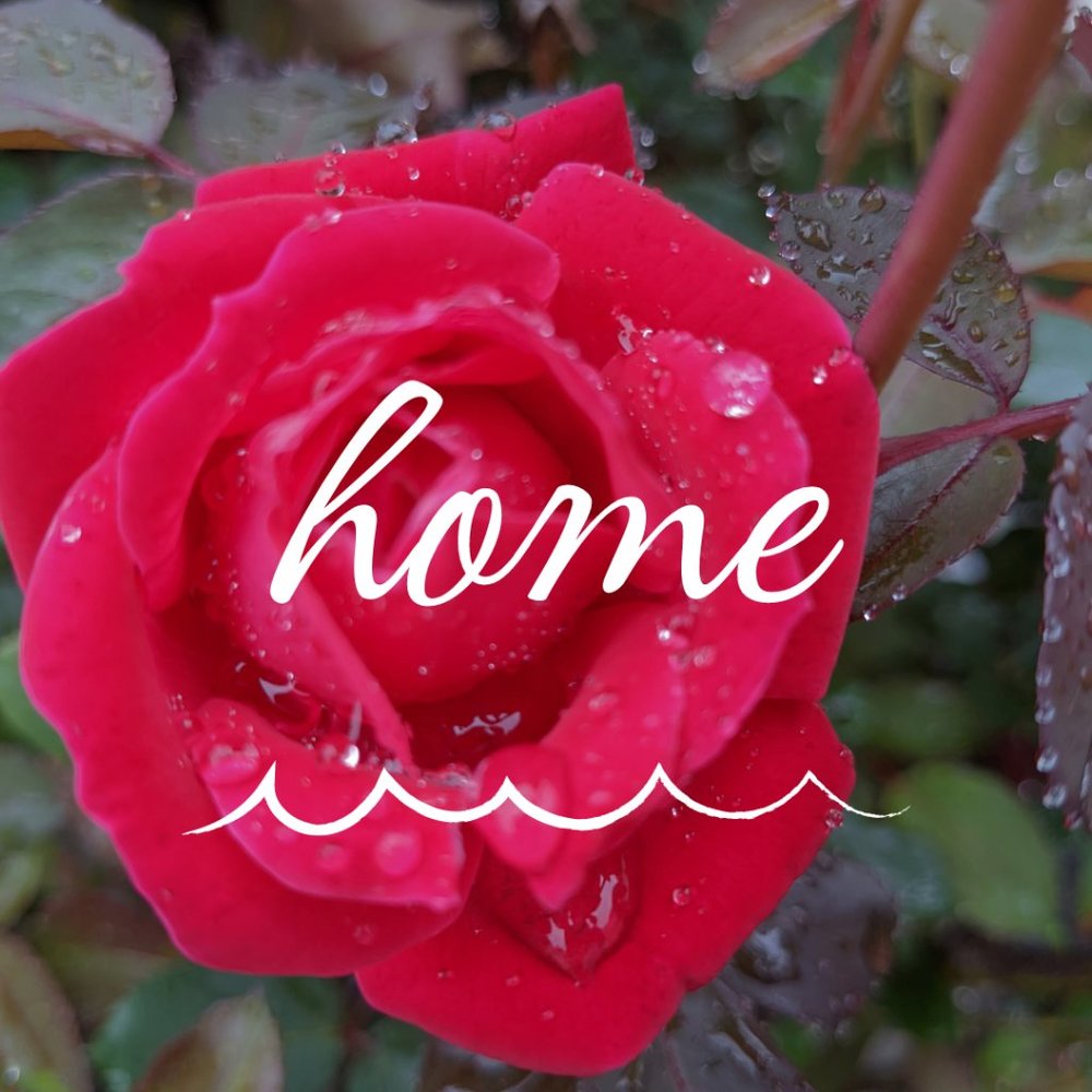 Home